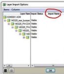 Layer Import Options.JPG